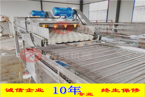 圣女果清洗機 圣女果清洗機