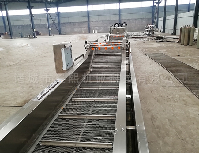 全自動大棗清洗機生產(chǎn)廠家